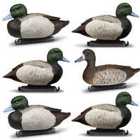 DOA Refuge Bluebill Decoys Foam Filled
